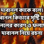 দাবানল কাকে বলে।দাবানল কিভাবে সৃষ্টি হয়।দাবানলের কারণ ও ফলাফল।দাবানল নিয়ে রচনা