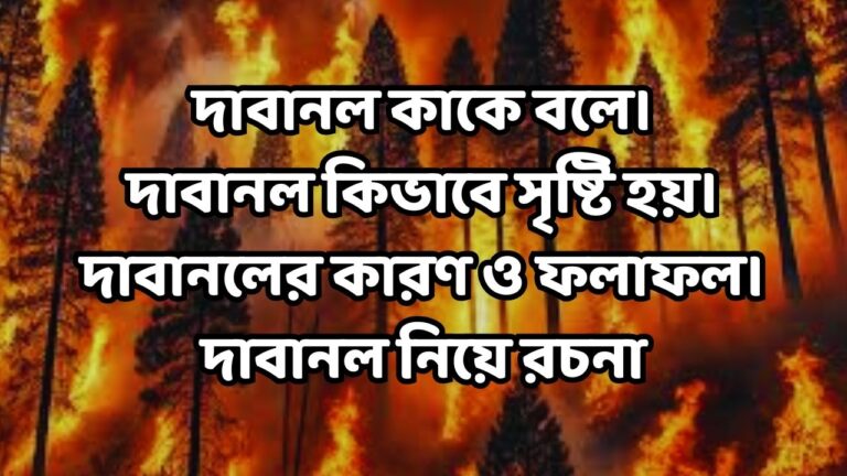 দাবানল কাকে বলে।দাবানল কিভাবে সৃষ্টি হয়।দাবানলের কারণ ও ফলাফল।দাবানল নিয়ে রচনা